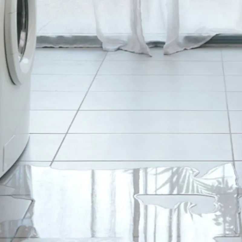 Appliance Leak Cleanup in Fort Myers Shores, FL